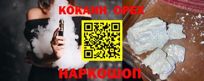 спиды Кингисепп