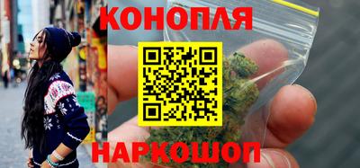 спиды Кингисепп