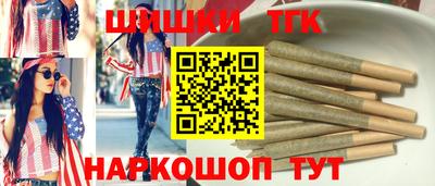 спиды Кингисепп
