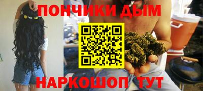 спиды Кингисепп
