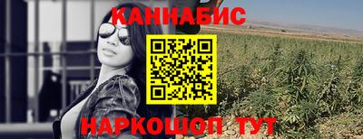 спиды Кингисепп