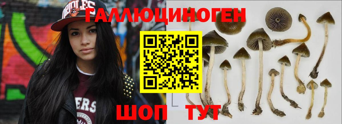 Галлюциногенные грибы ЛСД  Вход с VPN  Галлюциногенные грибы прущие грибы  Красноармейск 